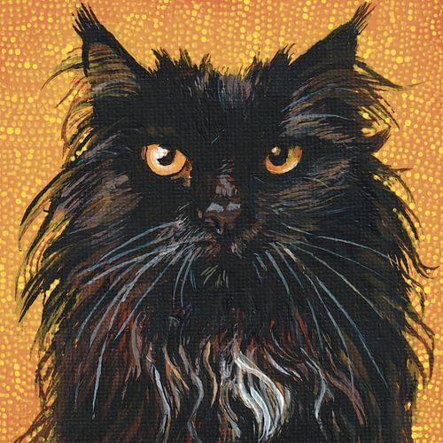 Eine sehr mürrische Katze