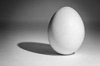 Egg abstract