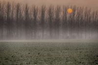Zonsondergang in de nevel.