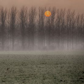 Zonsondergang in de nevel. van Filip Boogaerts