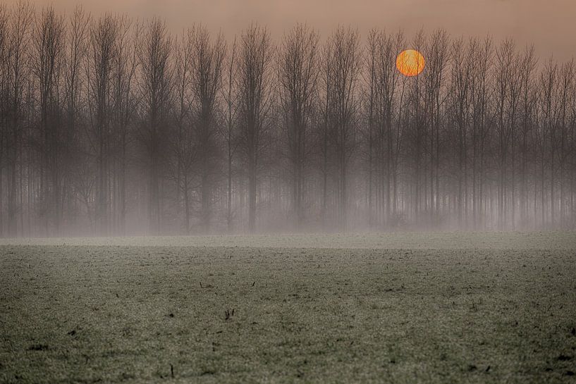 Zonsondergang in de nevel. van Filip Boogaerts