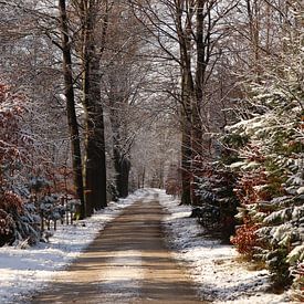 Piste de neige sur JacQ