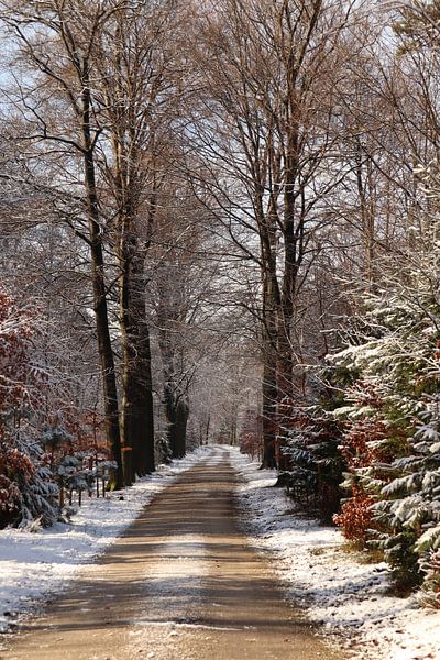 Piste de neige par JacQ