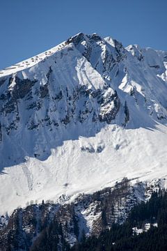 Wintermagie boven de bergtoppen - een hemels panorama op de Fellhorn van Walter G. Allgöwer