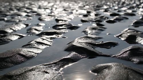 The structure of the beach