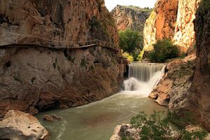 Le grand saut dans l'eau