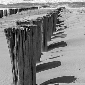 Noordzeestrand van Peter Leenen