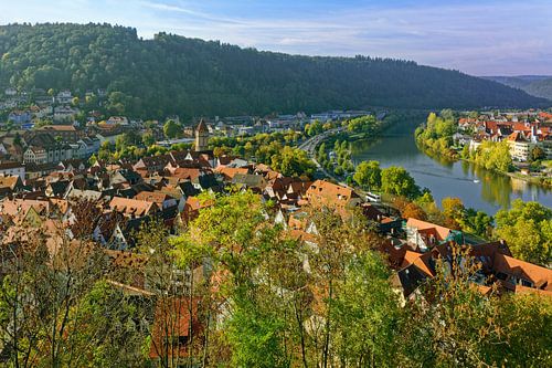 Uitzicht over Wertheim
