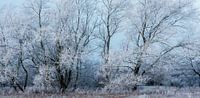 Winterlandschap