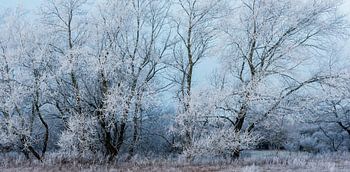 Winterlandschap