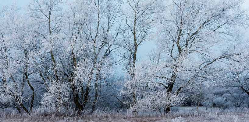 Winterlandschaft von Caroline de Brouwer