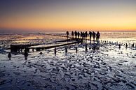 Wadwalkers during sunrise near Wierum. by Ron ter Burg thumbnail