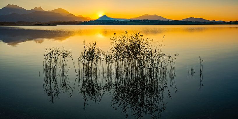 Sonnenuntergang, Hopfensee von Walter G. Allgöwer