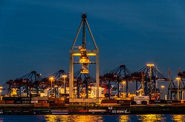 Containerhafen Hamburg von Dieter Walther