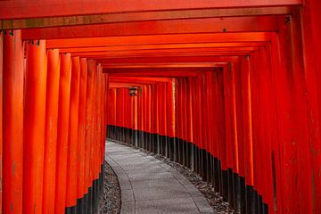 Fushimi Inari Torii van FotovanHenk