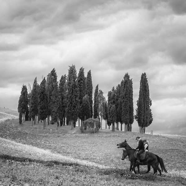 Italien im Quadrat, schwarz-weiß, Toskana von Teun Ruijters