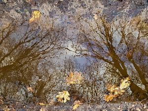 Hoch in der Tiefe - surreale Fotografie