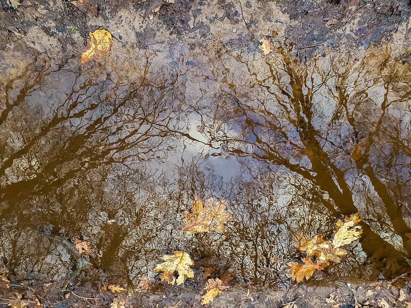 High in the depths - surreal photography by QEIMOY
