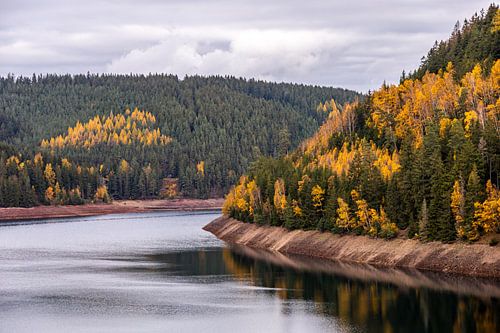 Herfstwandeling rond de Ohratal dam bij Luisenthal - Thüringer Woud