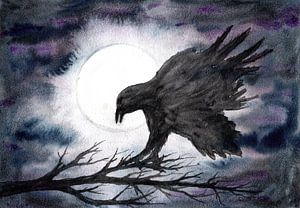 Corbeau au clair de lune
