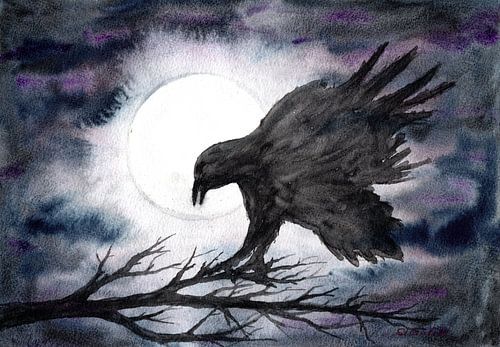 Raaf in het maanlicht