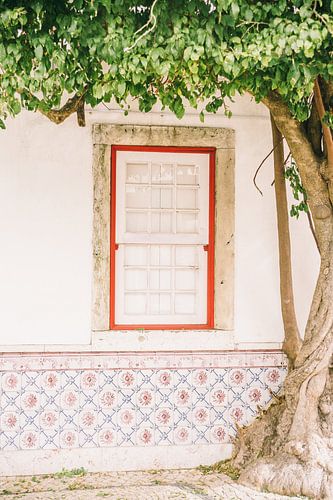 Alfama Lisbonne Arbre