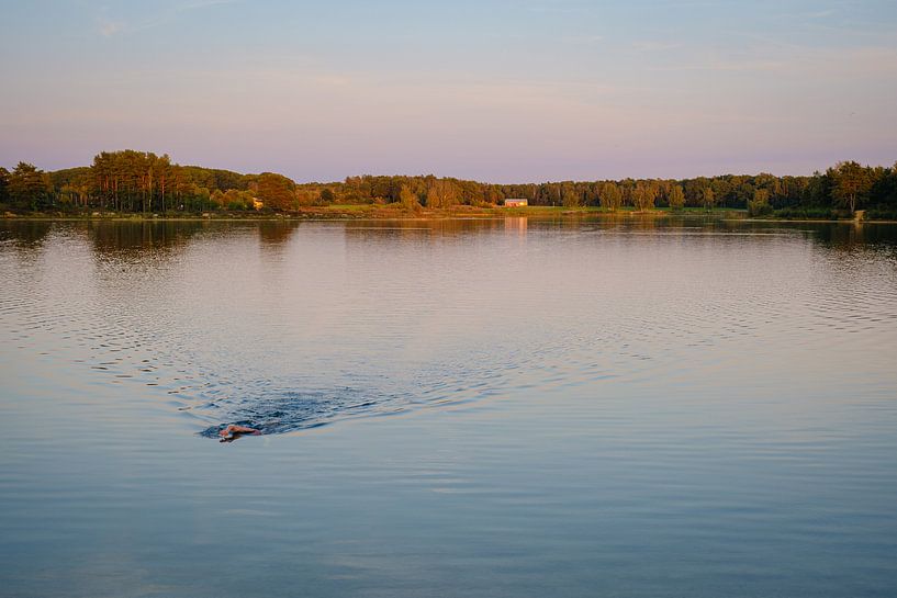 Swimmer at sunset by Johan Vanbockryck