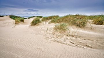 Sand und Dünen an der Küste von eric van der eijk