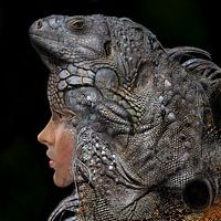 Iguana Girl of het Leguane meisje
