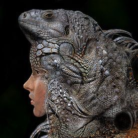 Iguana Girl ou la fille iguane sur Rudi Lippi