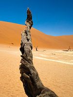 Sossusvlei