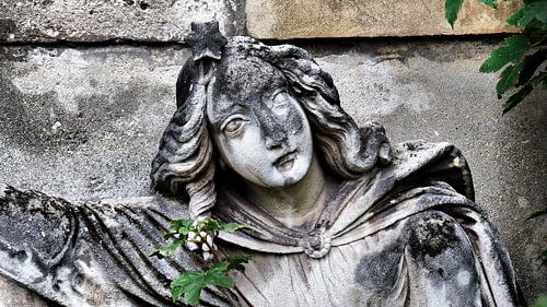 ...ein Land der Lebenden und ein Land der Toten V