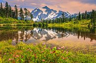 Mount Shuksan, Washington State, United States by Henk Meijer Photography thumbnail