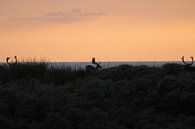 Damherten bij zonsondergang voor de kust van Anne Zwagers thumbnail