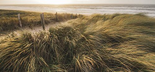 Strand, wind en zee