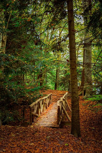Bridge on Fraeylemaborg estate, Groningen by Merel Pape Photography