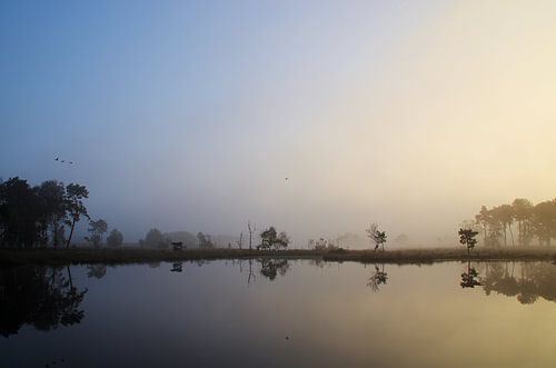 Zonsopkomst Vennengebied IV Turnhout Belgie