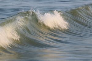 Une vague entrante