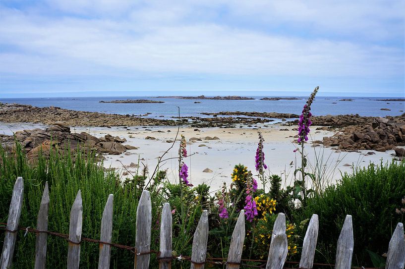 Prachtig wit strand met bloemen en houten hek van Sandra van der Burg