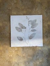 Klantfoto: Plantlife II, Julia Purinton (gezien bij interieurtalent gezocht met vtwonen) van Wild Apple, op canvas