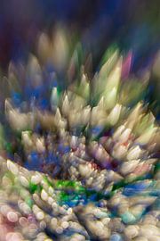 Kleur Explosie #3 by Robert Wiggers