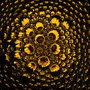 Zonnebloem in druppels (vierkant) van Marjolijn van den Berg thumbnail
