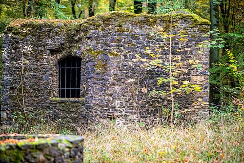 Ruines du monastère