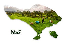 The island of Bali in Indonesia