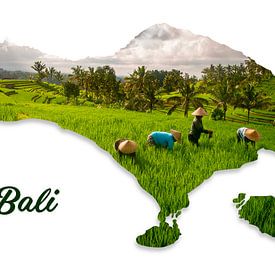 Het eiland Bali in Indonesië van Studio Malabar