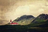 Vik
