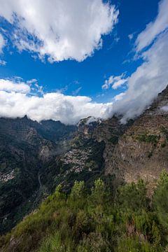 Madère Sunny Side épisode 8