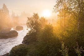 Morgensonne von Rainer Mirau