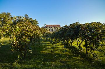 Romantic villa in Veneto Italy by Patrick Verhoef