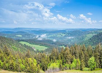 Uitzicht over het Zwarte Woud in Duitsland van Animaflora PicsStock